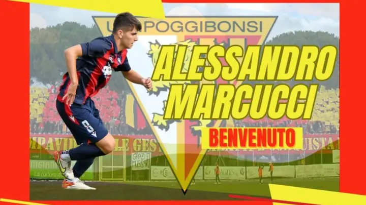 alessandro marcucci