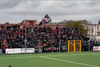 nocerina